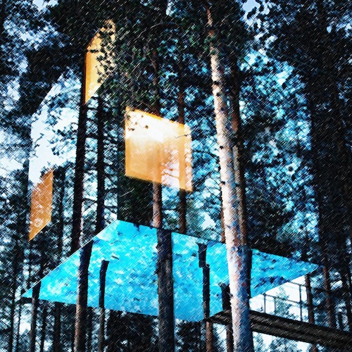 Fotografía digital de una casa de vidrio sobre algunos árboles en un bosque